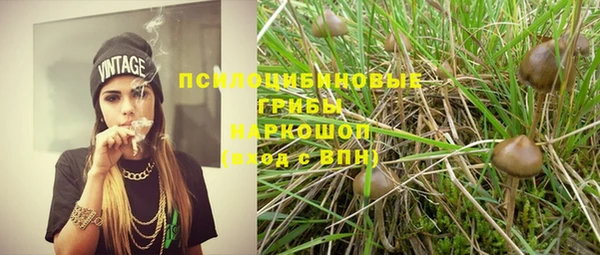 винт Михайловка
