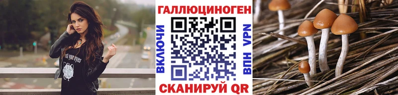 Галлюциногенные грибы Psilocybe  ОМГ ОМГ как войти  Остров  как найти закладки 